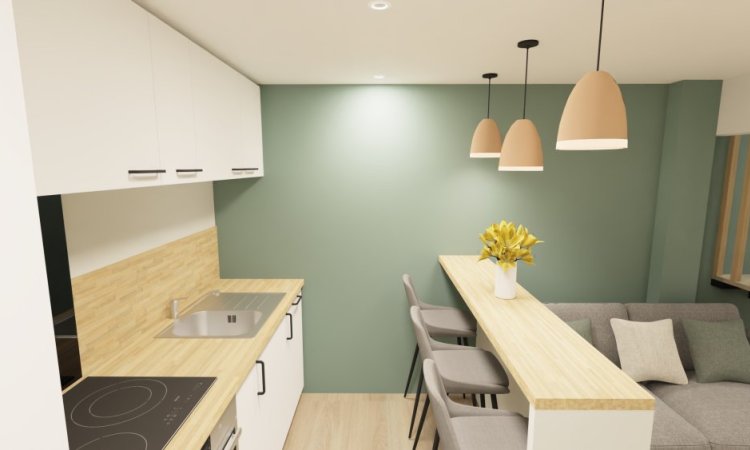 Rénovation d'un Airbnb à Dijon